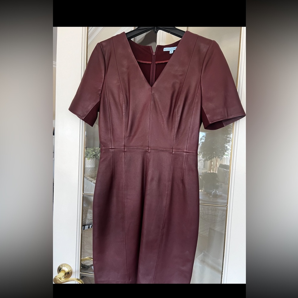 Antonio Melanie- Leather front dress Burgundy